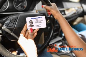 Manufacturing and Distributing Fake Identification